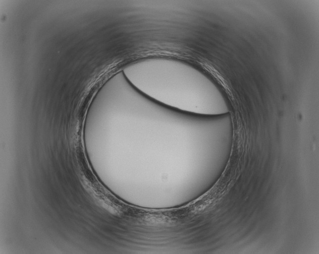 X0000086320490200703300909