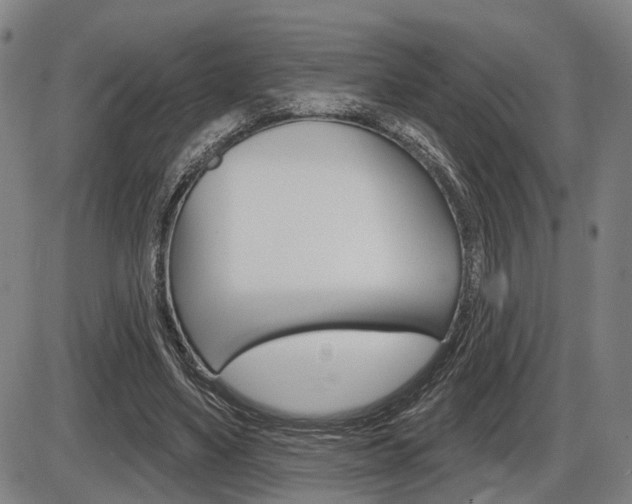 X0000086320491200703300909