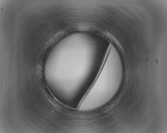 X0000086320497200703300909
