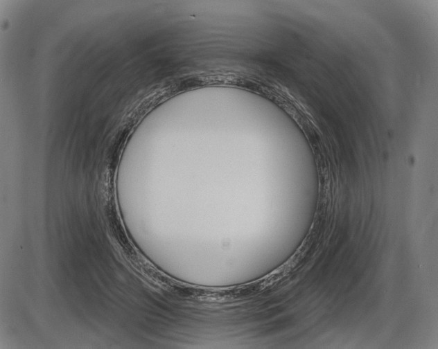 X0000086320498200703300909