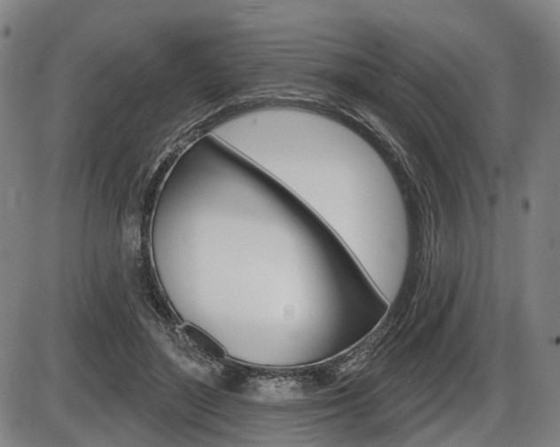 X0000086320500200703300909