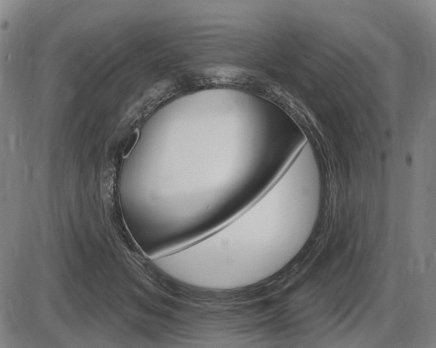 X0000086320509200703300908