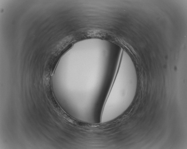X0000086320513200703300908