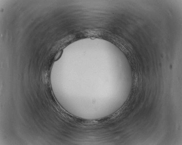 X0000086320514200703300908