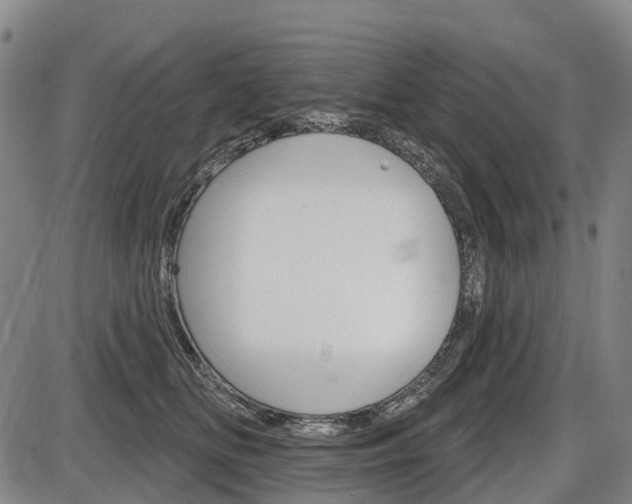 X0000086320518200703300908