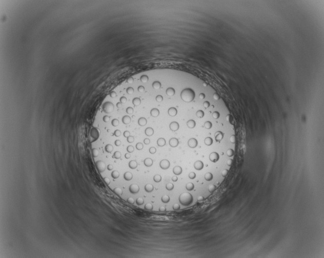 X0000086320519200703300908