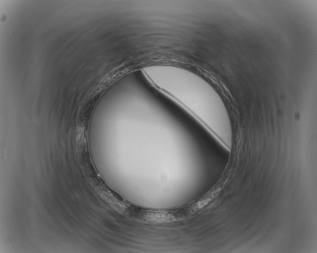 X0000086320521200703300908
