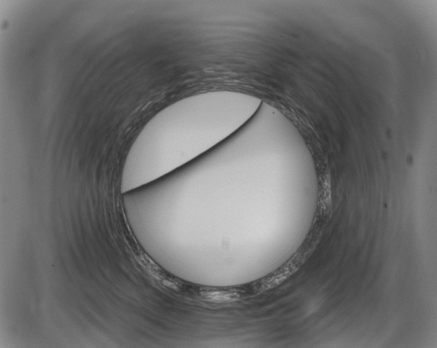 X0000086320522200703300908