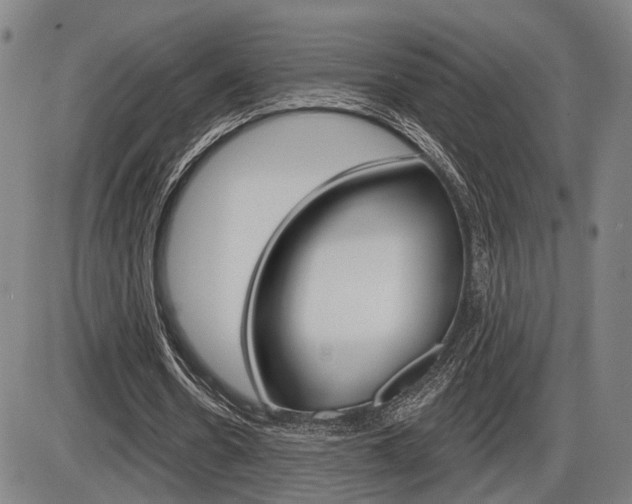 X0000086320530200703300907