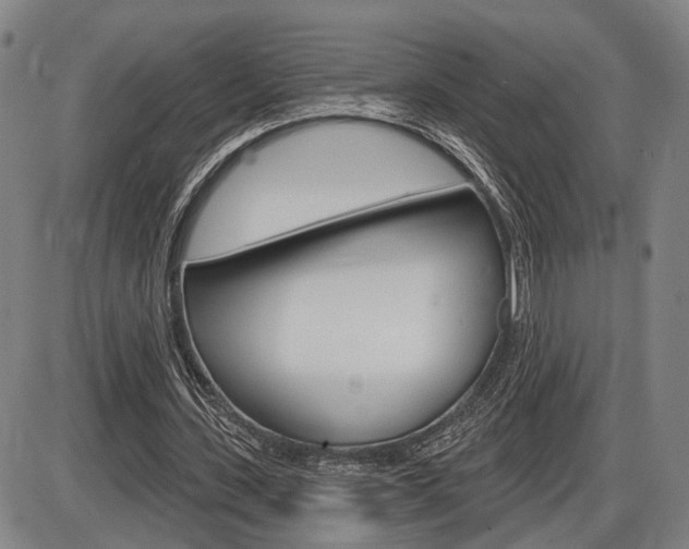 X0000086320531200703300907