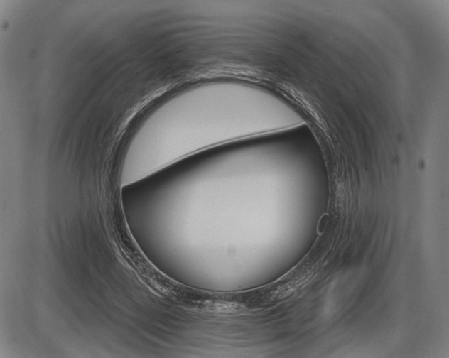 X0000086320539200703300907