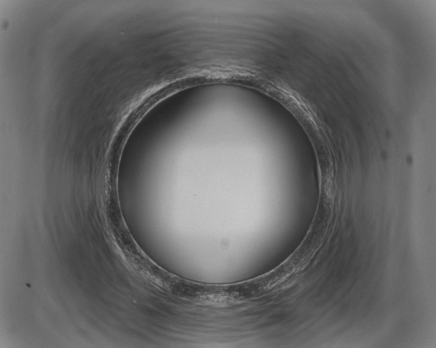 X0000086320540200703300907