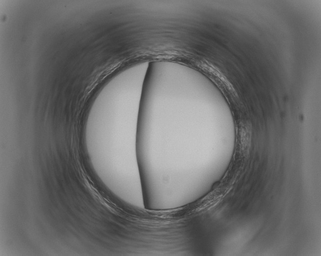 X0000086320541200703300908