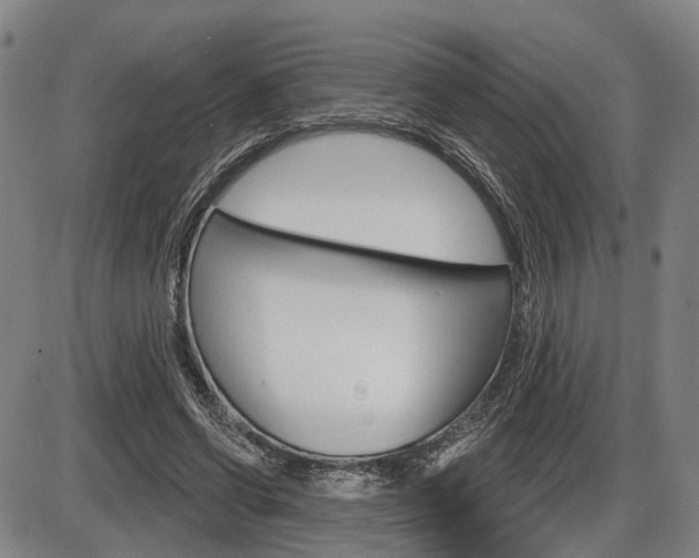 X0000086320542200703300908