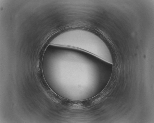 X0000086320548200703300908