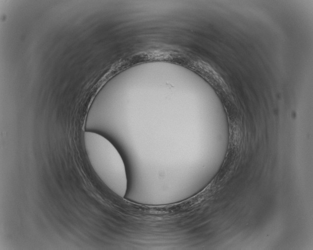 X0000086320549200703300908