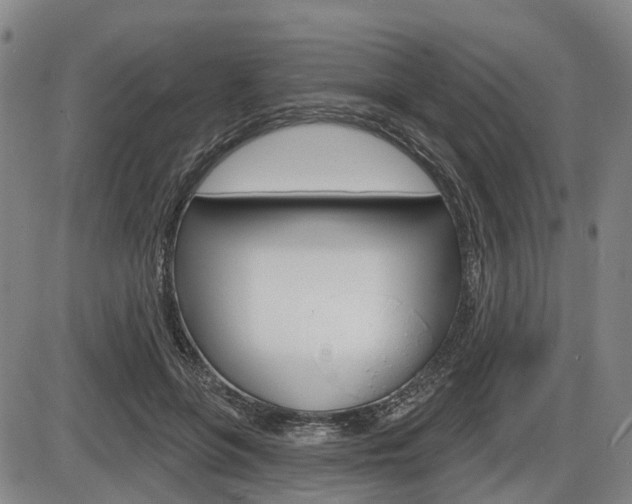 X0000086320551200703300908