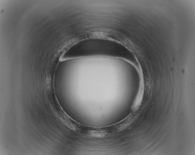X0000086320556200703300908