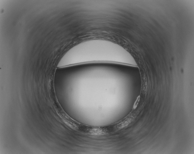 X0000086320562200703300908