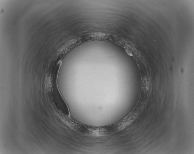 X0000086320564200703300908