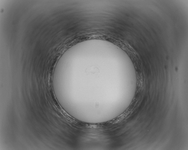 X0000086320565200703300908
