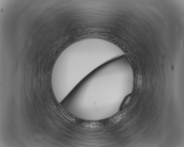 X0000086320567200703300908
