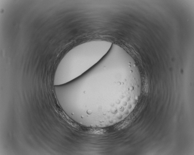 X0000086320569200703300908