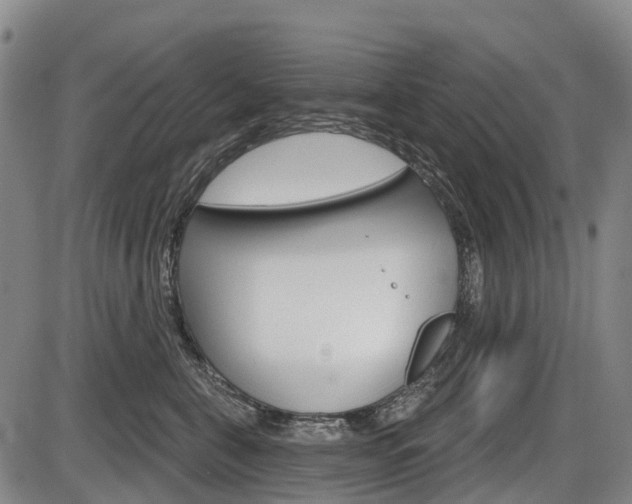 X0000086320571200703300908