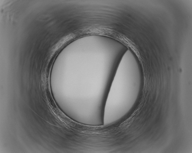 X0000086320578200703300907