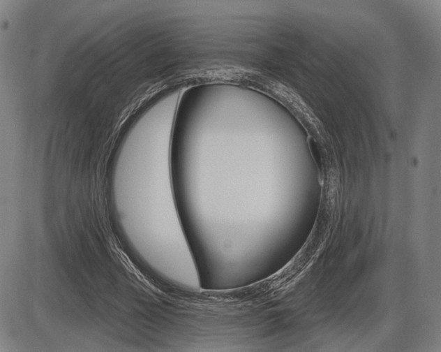 X0000086320585200703300907