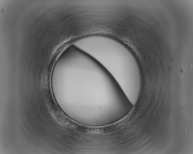 X0000086320587200703300907