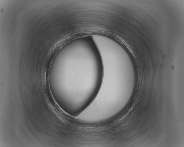 X0000086320589200703300907
