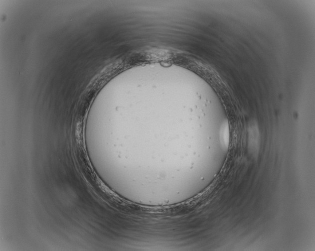 X0000086320598200703300907