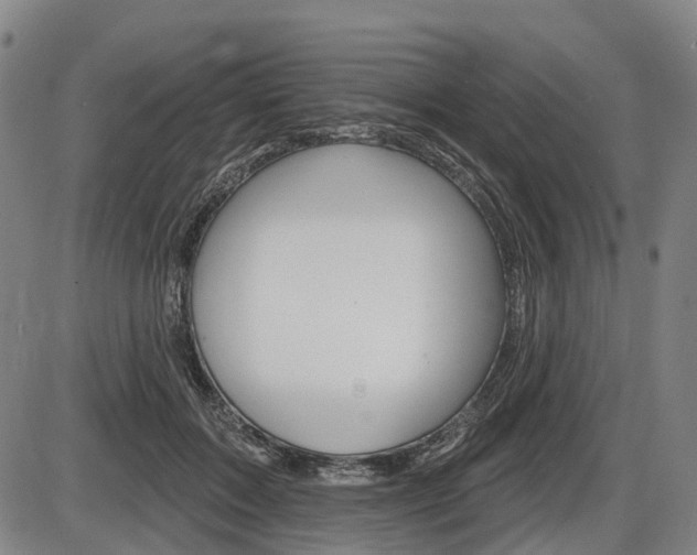 X0000086320603200703300907