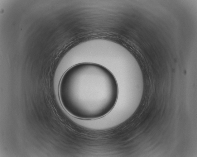 X0000086320604200703300907