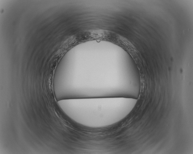 X0000086320606200703300907