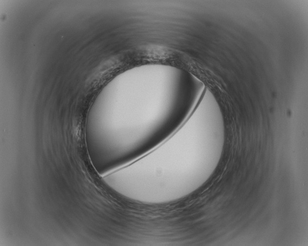 X0000086320608200703300907