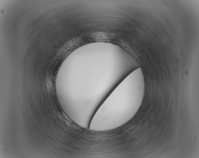 X0000086320618200703300907