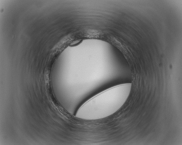 X0000086320620200703300907