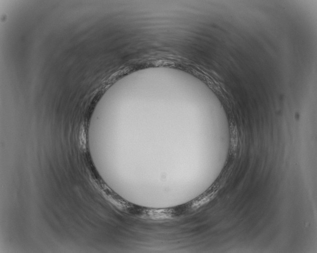 X0000086320622200703300907