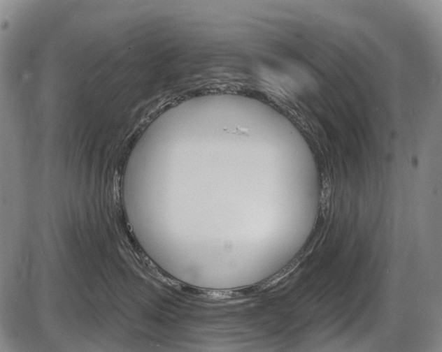 X0000086320623200703300907