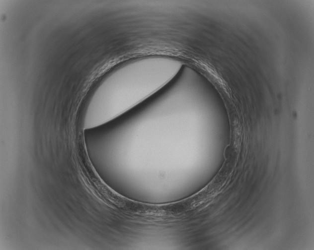 X0000086320631200703300906