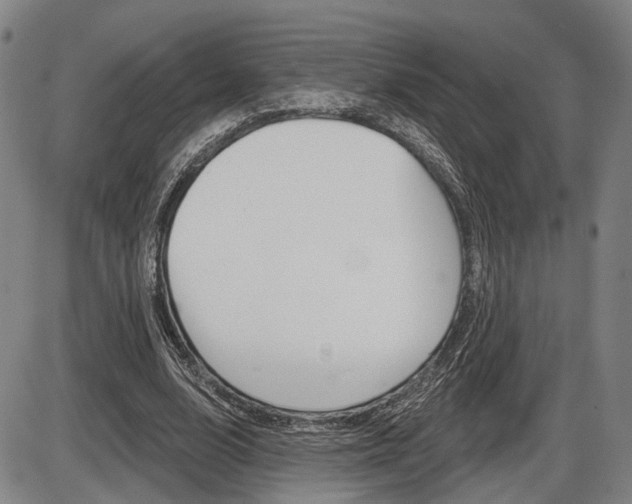X0000086320632200703300906