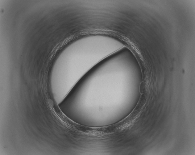 X0000086320633200703300906