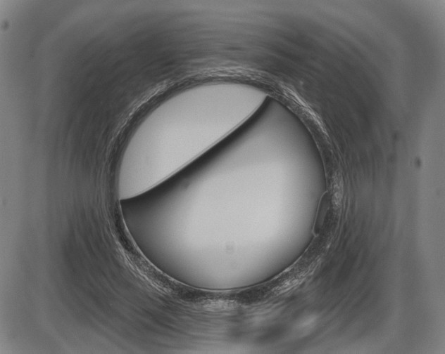 X0000086320637200703300906