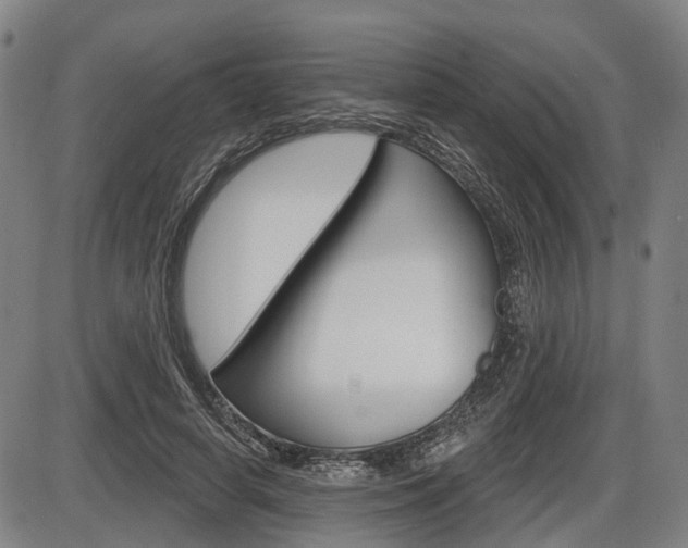 X0000086320642200703300906