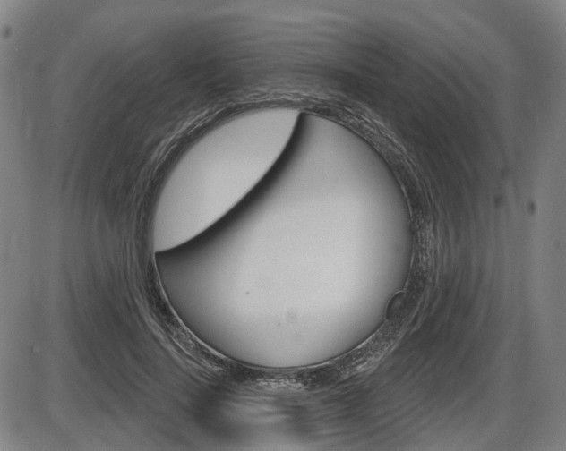 X0000086320644200703300906