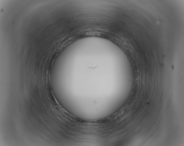X0000086320649200703300906