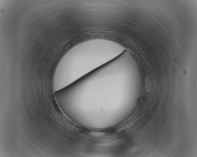 X0000086320650200703300906