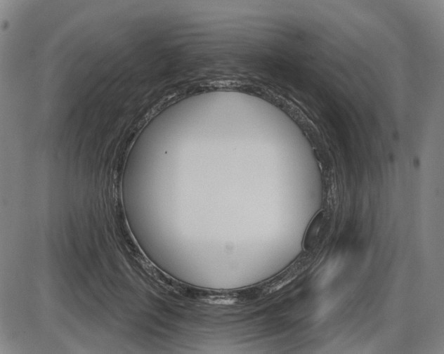 X0000086320651200703300906